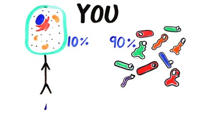 You're Not What You Think You Are