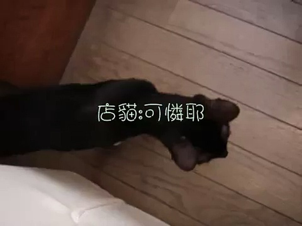 關籠篇
