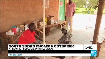 South Africa: Judge suggests charging government over Bashir flight