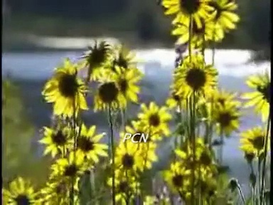 Main yesu ke noor mein
