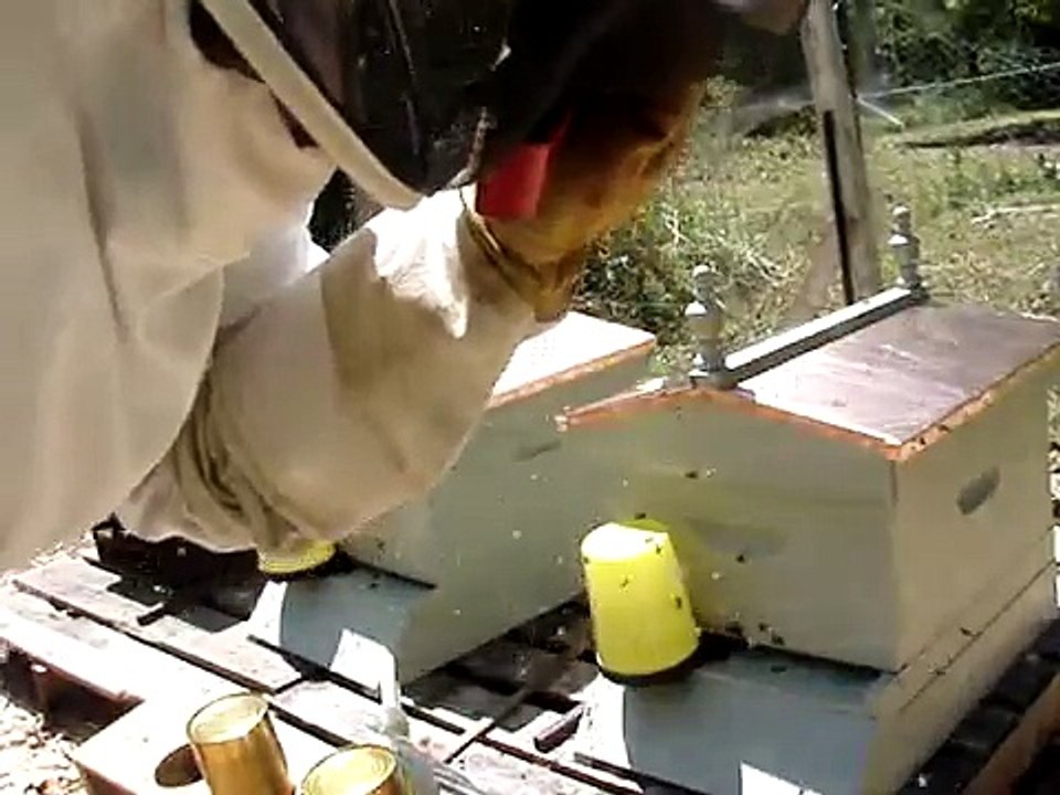 Checking for queen in installed package