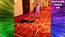 Maddie Ziegler  Mackenzie Ziegler ALL VINES HD