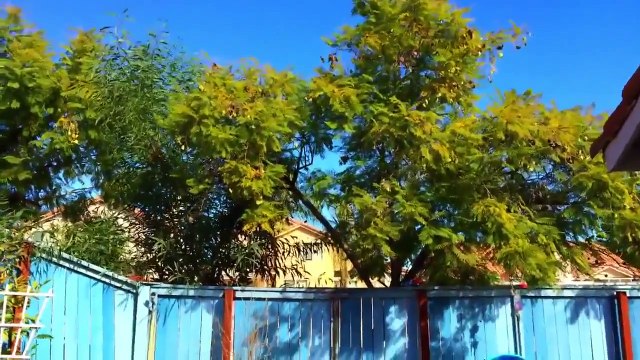 Disney Pixar Cars Lightning McQueen, Dinoco, Mater Microdrifters Racing by PlaeseCheckout