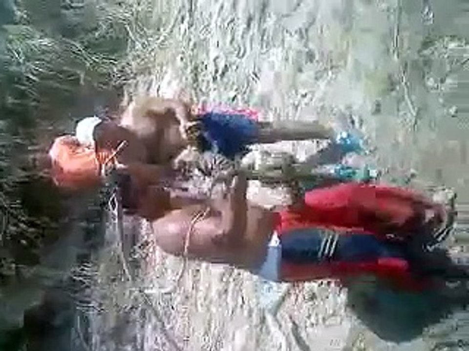 Anaconda del rio Apure