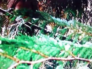 Staragte SG-1 S1EP15 Singularity Part 1 of 3