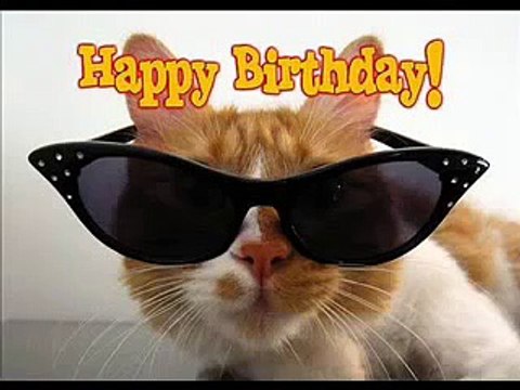 FUNNY PICTURES 2015 funny pics funniest picture lol wtf pictures TRY NOT TO LAUGH OR GRIN