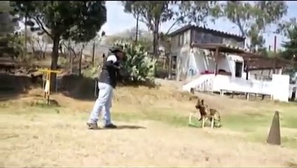 GLOCK - Entrenamiento en Ring Francés.