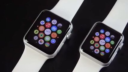 Apple Watch 38mm Stainless Steel Case - Beautifully designed but what can it do?