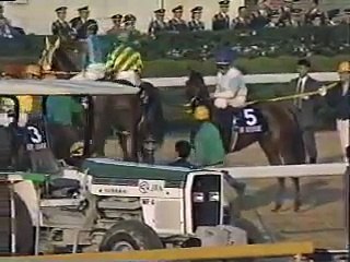 1992年ジャパンカップ japanCUP(G1) トウカイテイオー 【岡部コール迄フル収録版】