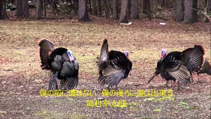 人生を見直すきっかけになる名言～高村幸太郎～鈴木裕喜デザインoffice（熊本）