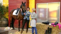 Kinder/Jugendliche: Pferde & Reiten | Valentina Kurscheid im VK-Garten | 04.03.2014