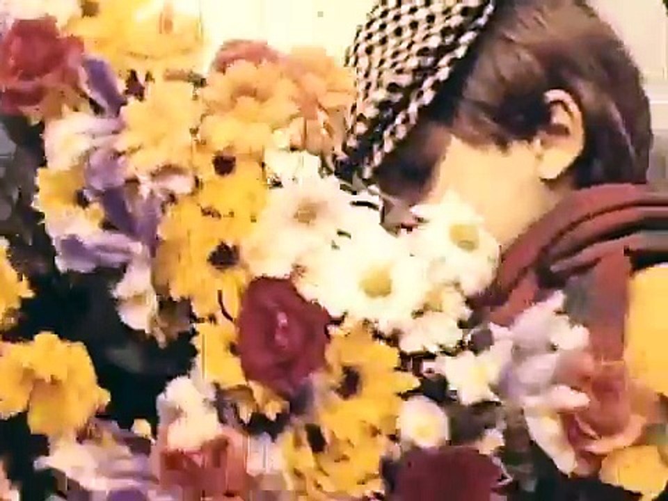 Wild Nothing - Chinatown