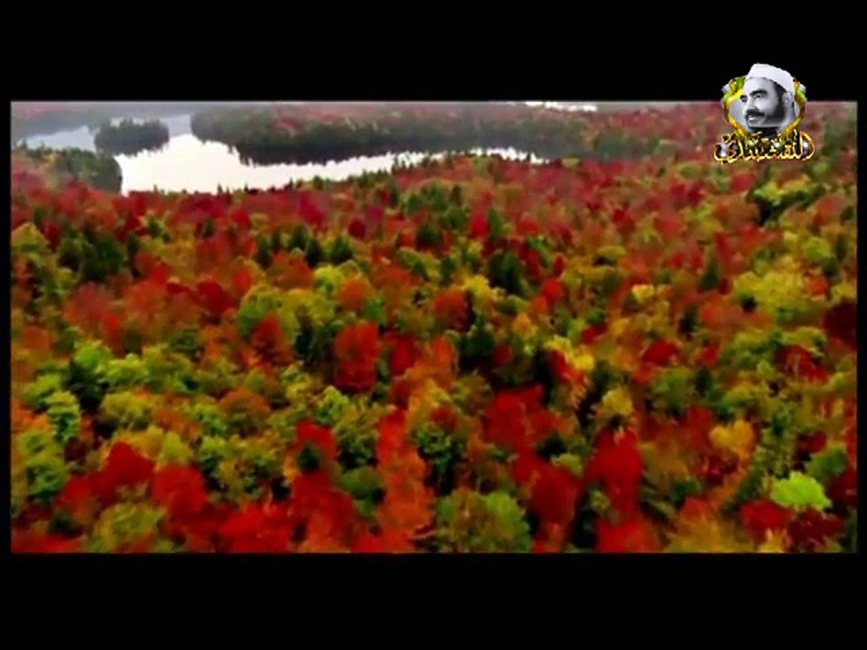 ما من شيء إلا يسجد لجلالك رباه ويشهد - من مجموعة سبحانك ربي سبحانك للشيخ النقشبندي