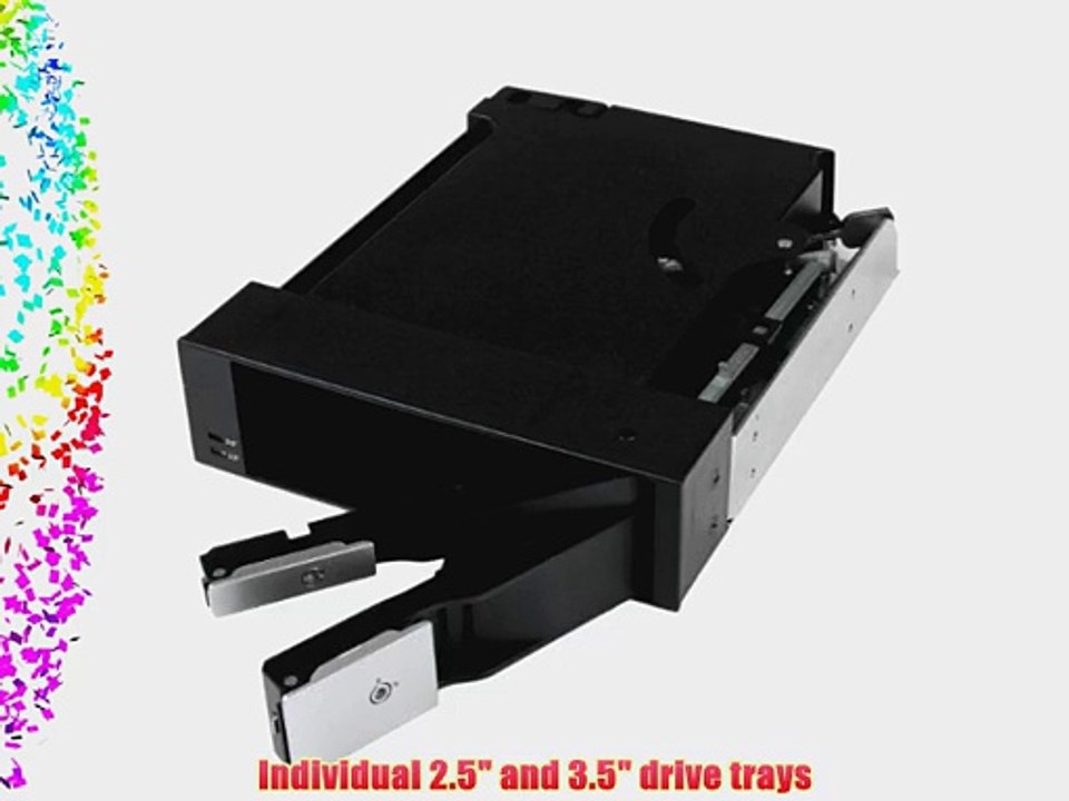 StarTech.com Dual Bay 5.25-Inch Trayless Hot Swap Mobile Rack Backplane for 2.5 and 3.5 Inch