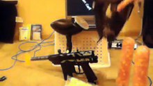 JT Stealth Paintball Gun Review