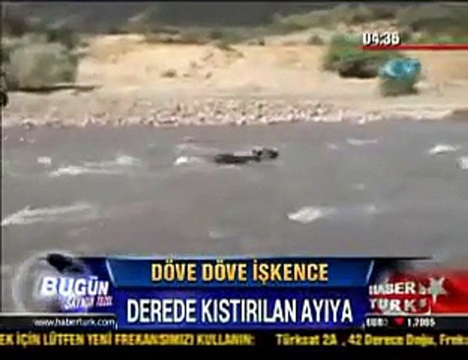 Schlägerei 20 Türken vs.Ein harmloses Bärchen RTL Spiegel TV