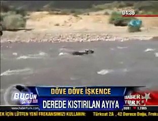 Schlägerei 20 Türken vs.Ein harmloses Bärchen RTL Spiegel TV