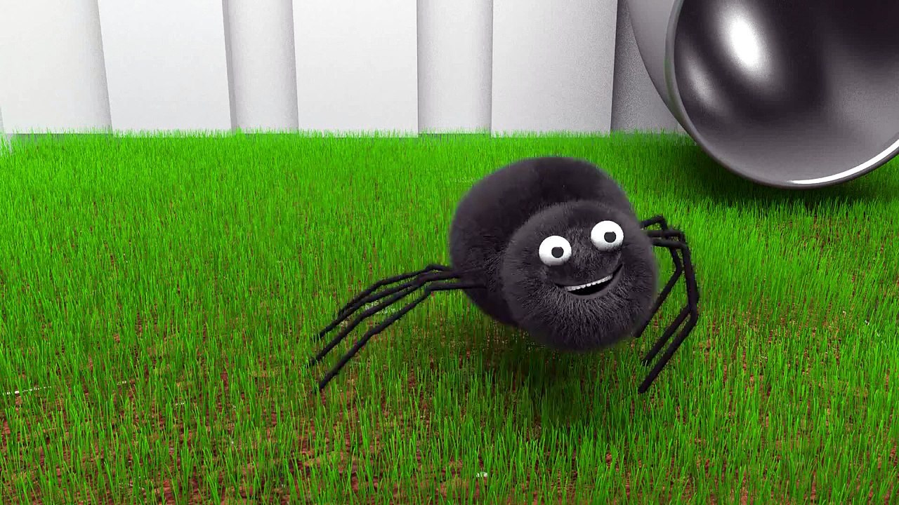 The Itsy Bitsy Spider
