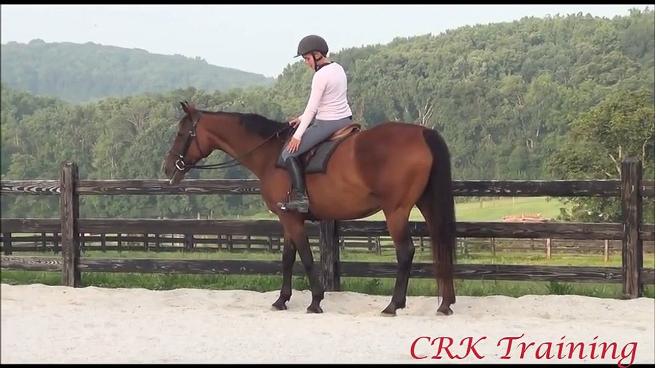 Understanding Bending when Riding