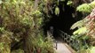 Thurston Lava Tube, Hawaii