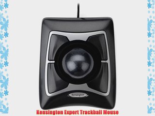 Kensington Expert Trackball Mouse