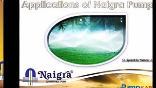 Naigra Pumps Online | Buy Naigra Pumps India - Pumpkart.com
