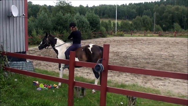 Jag provar att rida i bara grimma och grimskaft på Cirrus.