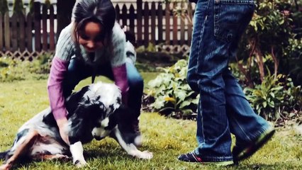 Introduction de Filmora video editor