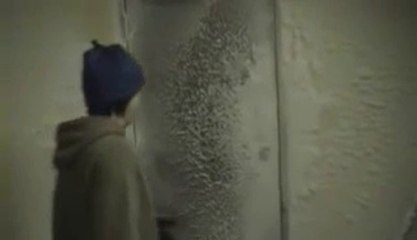 Conditions extrêmes en Antarctique : dur d'y vivre