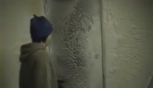 Conditions extrêmes en Antarctique : dur d'y vivre