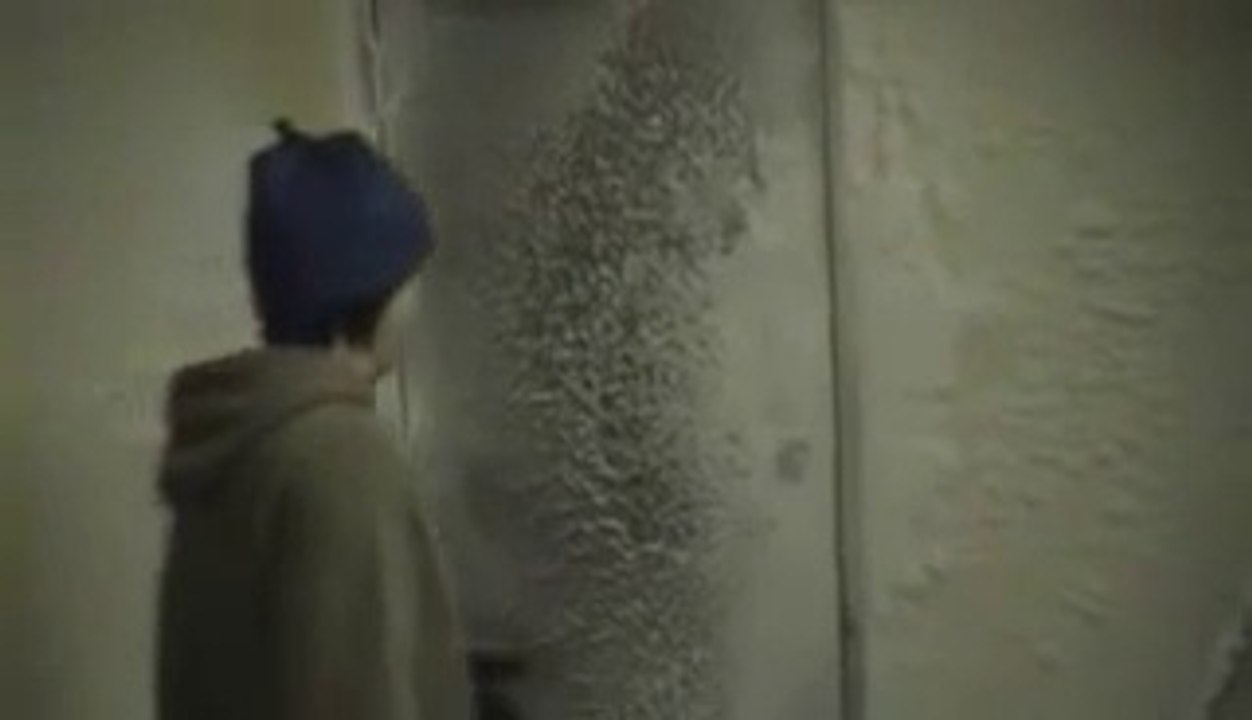 Conditions extrêmes en Antarctique : dur d'y vivre