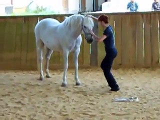 Danser avec un cheval