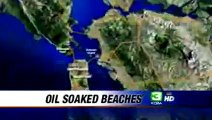Impact Of S.F. Bay Oil Spill Widens