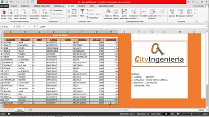 Excel Avanzado 2013: Base de Datos - Formulario de Entrada de Datos