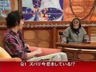 Chimpan news channel 1