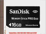 SanDisk 16 GB Memory Stick PRO Duo Flash Memory Card - Bulk Package