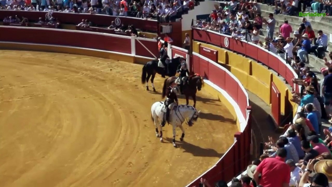 Soria 24 jun 2015