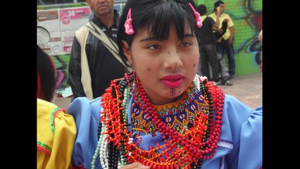 Himno ONIC Organizacion Nacional Indigena de Colombia2.wmv