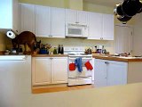 Rufus the Bad Dog Jumps On Kitchen Counters