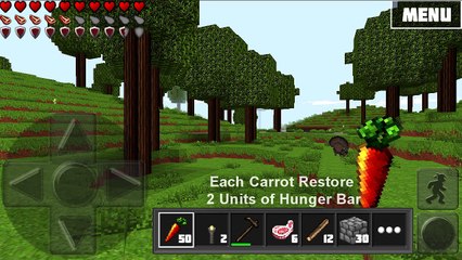 WoC Tutorials: Food Overview (Part 1 Carrot)