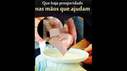 Mamãe de gato tambem é mãe, Feliz dia da mães.