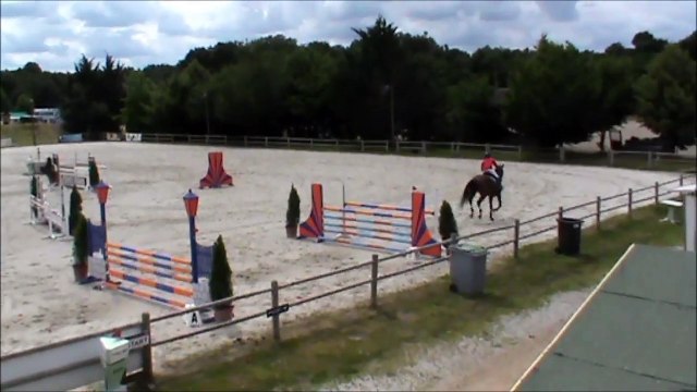 Anakine CSO Sandillon 20150623