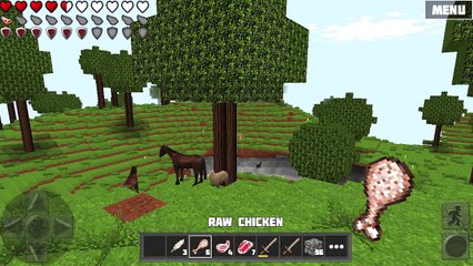 WoC Tutorials Food Overview (Part 5 Meat)