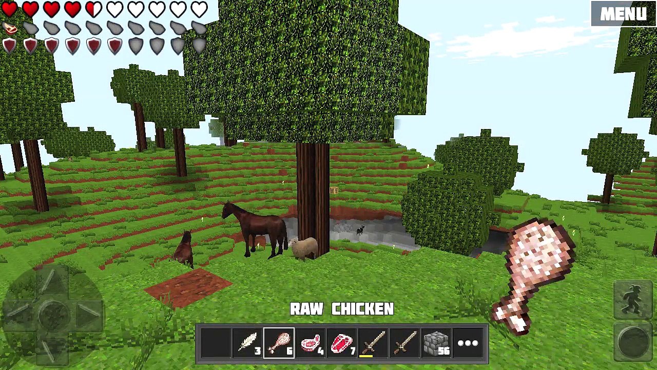 WoC Tutorials Food Overview (Part 5 Meat)