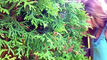 Paradise - Coldplay ( Music Video )