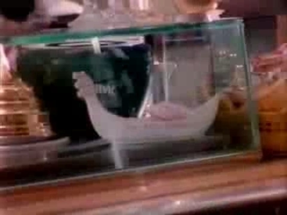 Salad - Drink The Elixir