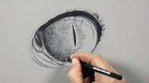 Cómo dibujar un ojo de reptil - con bolígrafo