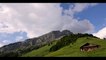 Roc des Alpes - La Clusaz 2015 - Nature
