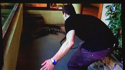 Jurassic Saint-Martin-la-Plaine world