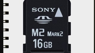 Sony Electronics 16 GB Flash Memory Card MSM16/TQ